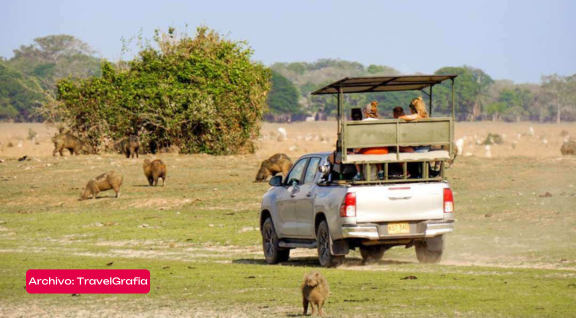 yopal, safaria llanero