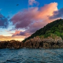 Isla Gorgona Guapi: guía completa para explorar el Pacífico colombiano