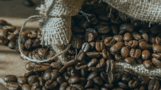 El legado cafetero de Huila: Un sabor para disfrutar