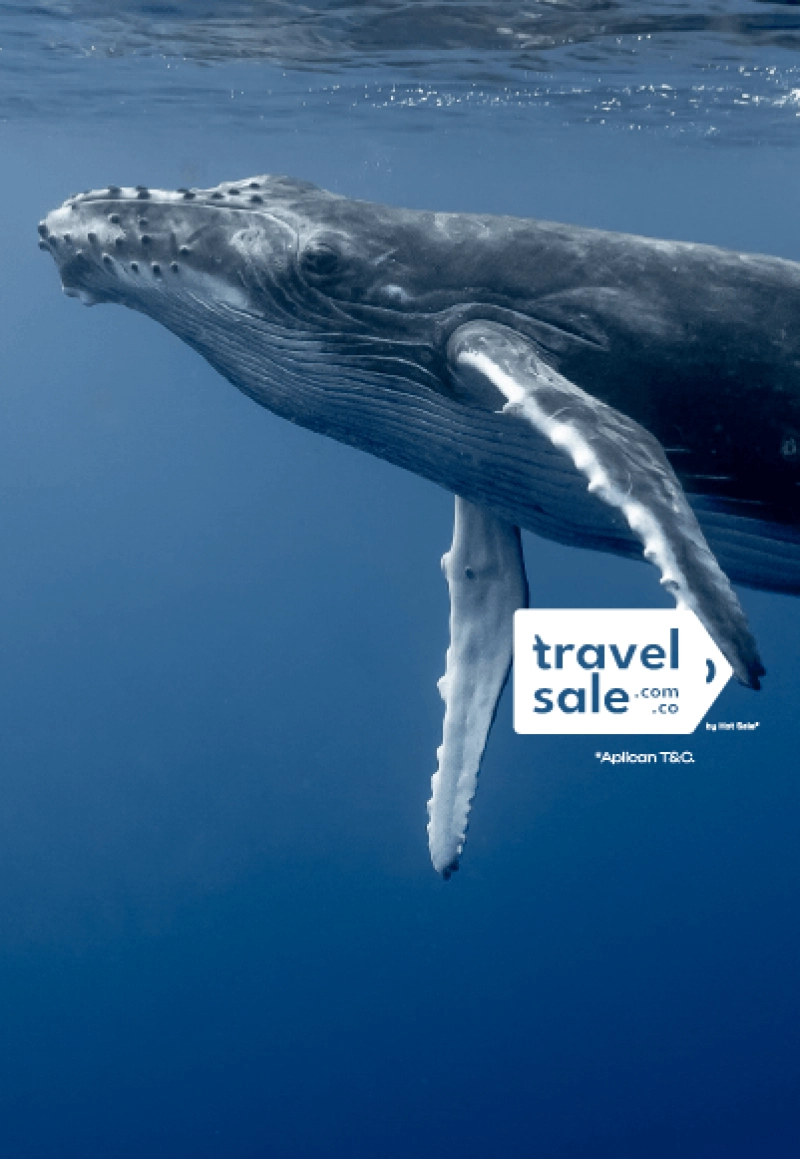 Travel Sale Jun 2025