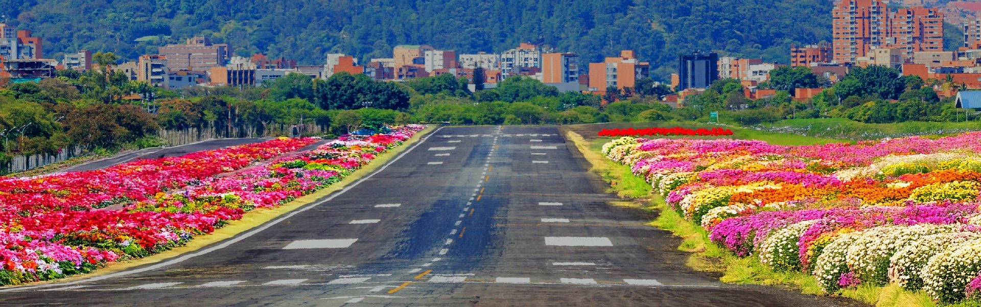 Viaja a Medellín