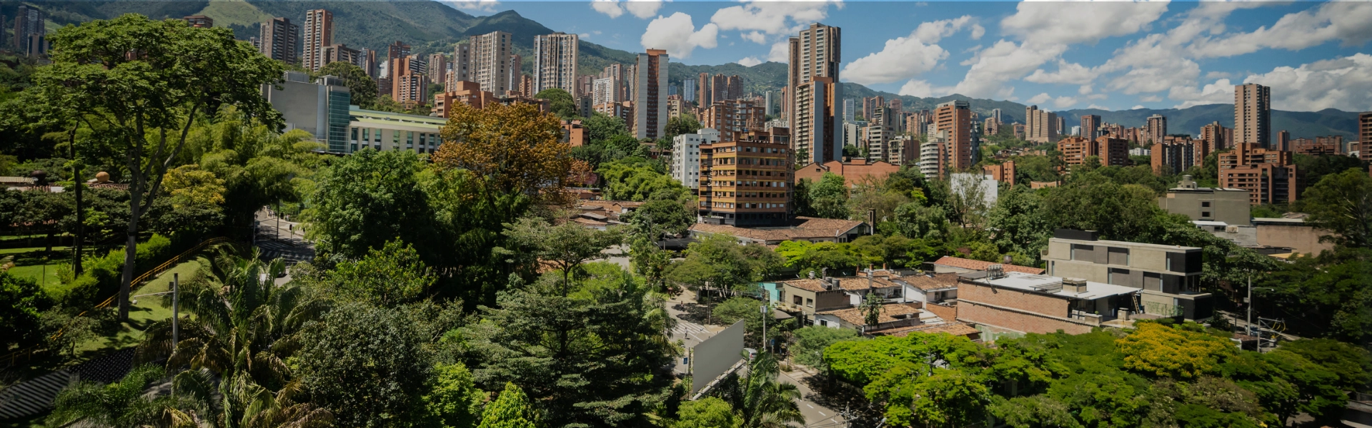 Cali y Medellín