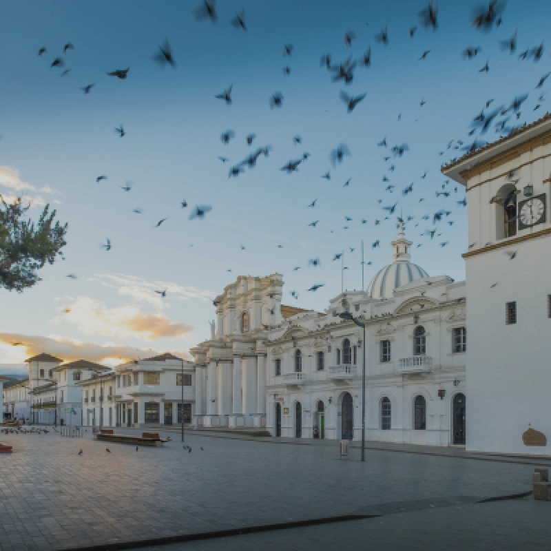 Bogotá y Popayán