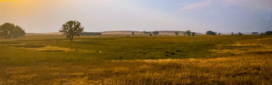 Yopal, Safari Llanero | Vuela con Clic