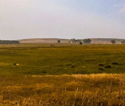 Yopal, Safari Llanero | Vuela con Clic