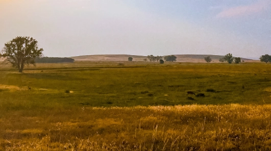 Yopal, Safari Llanero | Vuela con Clic