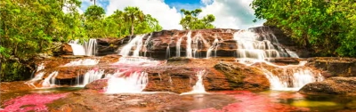 Caño Cristales: el show de la naturaleza que solo tiene temporada