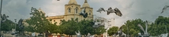 Corozal