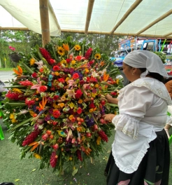 vuelos de Bogotá a Medellín