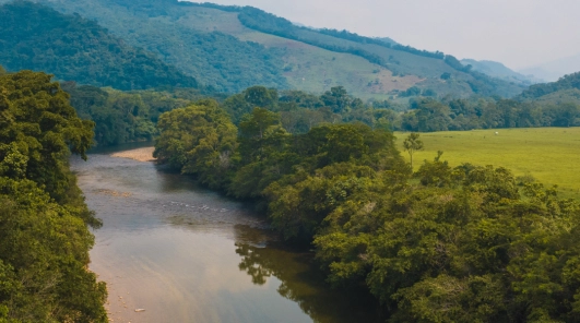 vuelos bogota florencia