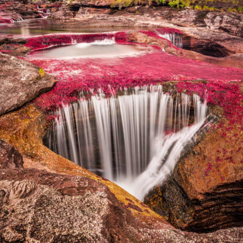 La Macarena - Caño Cristales