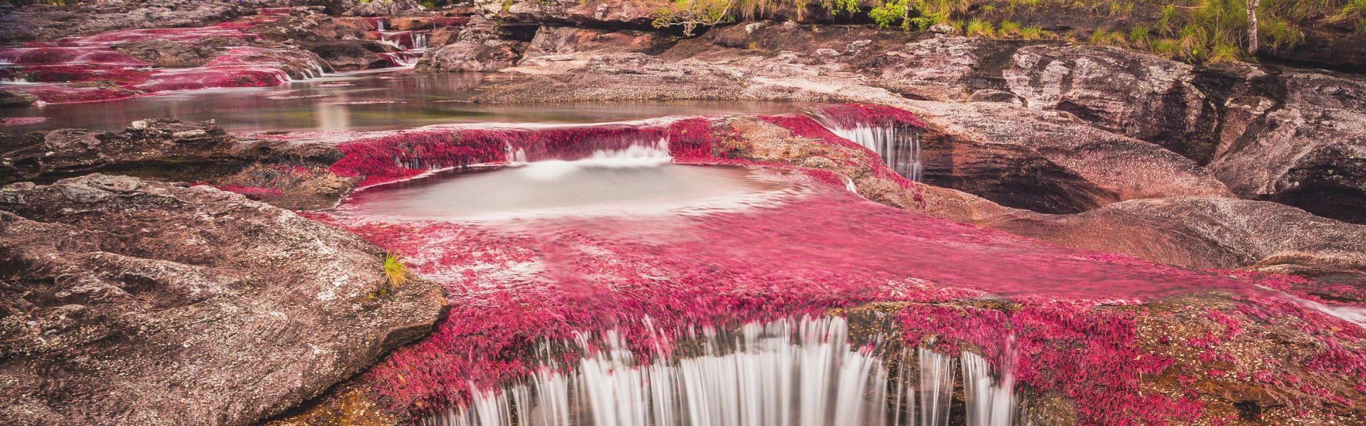 La Macarena - Caño Cristales