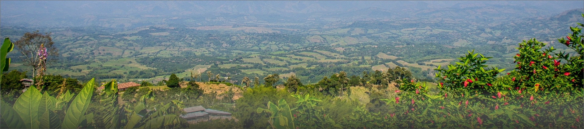 Manizales
