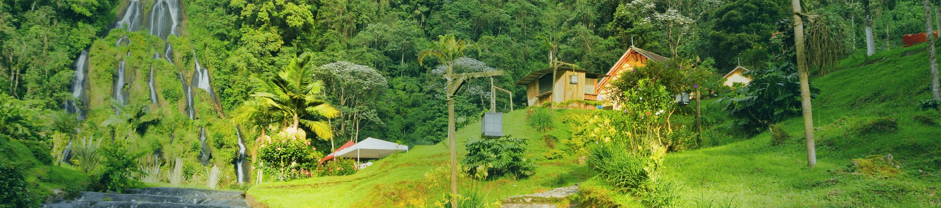 vuelos de Medellín a Pereira