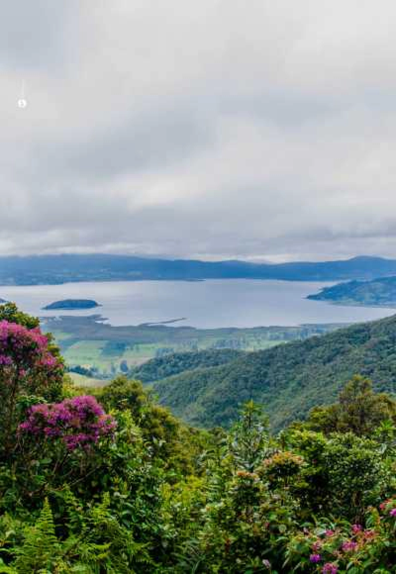 Cali a Pasto