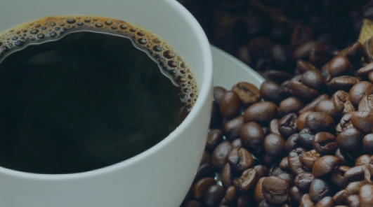 Pitalito: Un mundo cafetero por descubrir