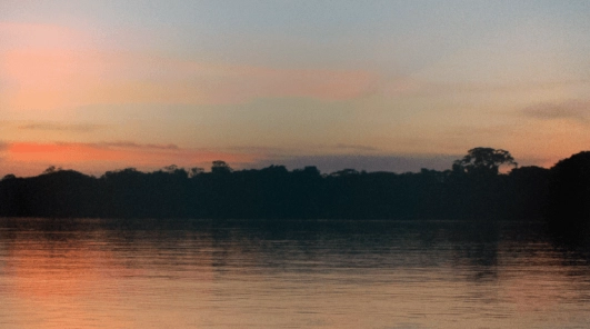 vuelos a puerto asis