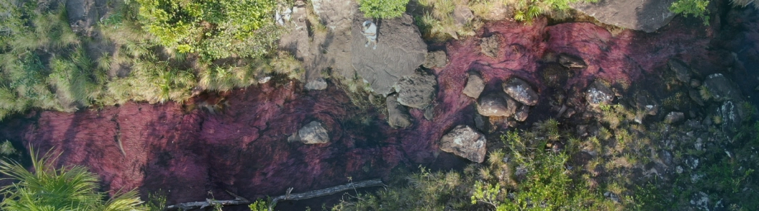 san jose del guaviare