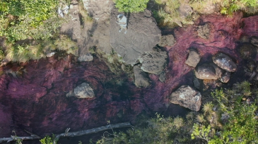 san jose del guaviare