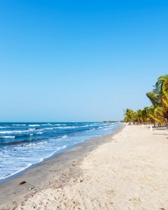 vuelos de Pereira a Tolú - Coveñas