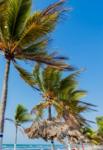 vuelos de Medellín a Tolú - Coveñas