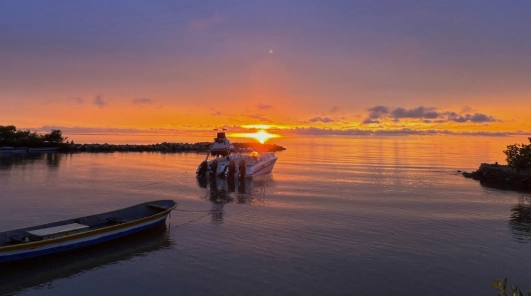 Vuelos tolu coveñas