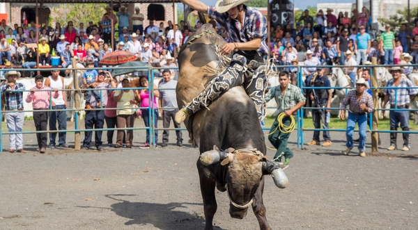 Festividades