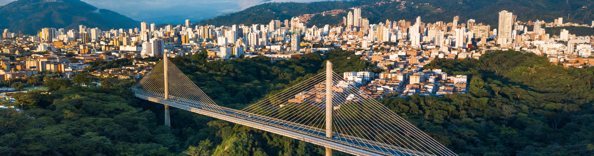 Vuelos a BUCARAMANGA